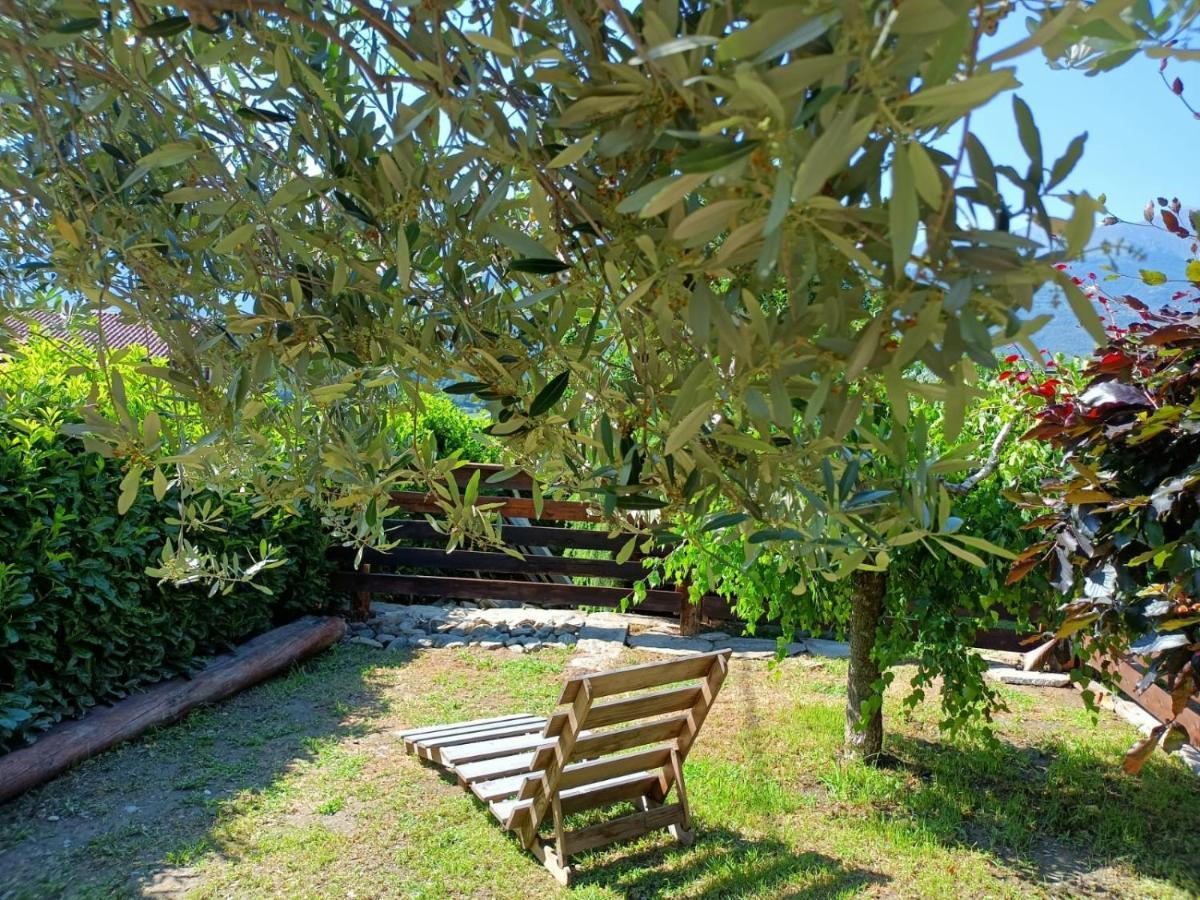 Rosina House E Chalet Colico Kültér fotó